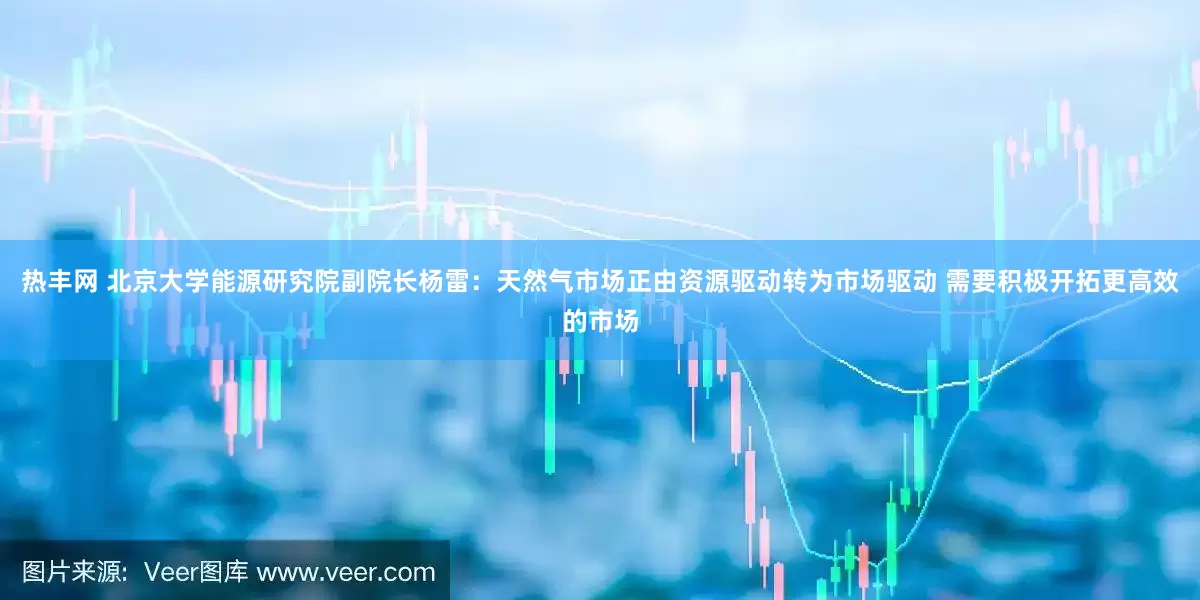 热丰网 北京大学能源研究院副院长杨雷：天然气市场正由资源驱动转为市场驱动 需要积极开拓更高效的市场