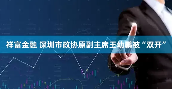 祥富金融 深圳市政协原副主席王幼鹏被“双开”