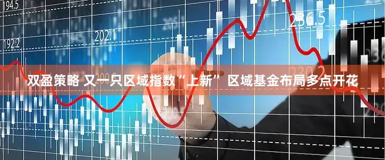 双盈策略 又一只区域指数“上新” 区域基金布局多点开花