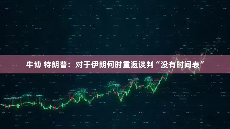 牛博 特朗普：对于伊朗何时重返谈判“没有时间表”