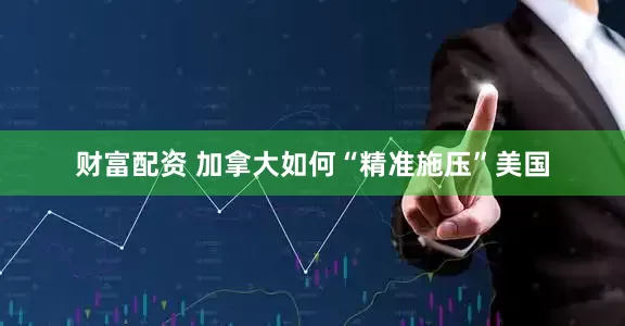 财富配资 加拿大如何“精准施压”美国